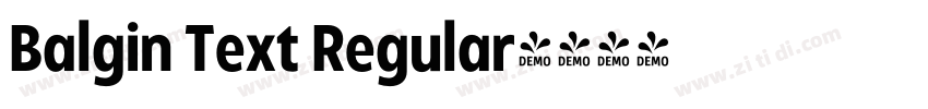 Balgin Text Regular字体转换
